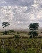 Heuschrecken im Stiftungsgarten