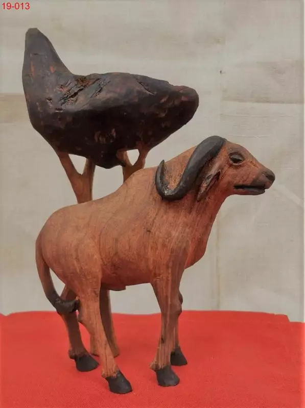 tiere_069