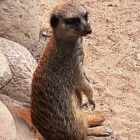 Artenschutztag im Zoo Eberswalde